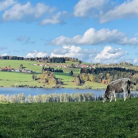 Loft Mit Seeblick Und Innenpool Διαμέρισμα Petersthal