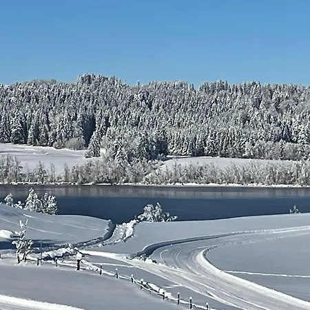 Loft Mit Seeblick - Allgaeu Petersthal